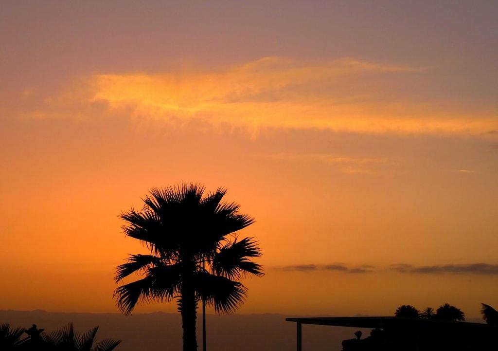 Beach-Front Tenerife Sth Sea And Pool View コスタ・デル・シレンチオ エクステリア 写真
